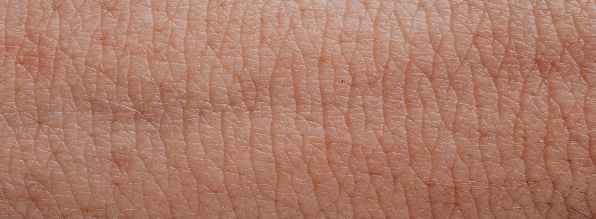 Traitement cellulaire avancé Traitement cellulaire avancé